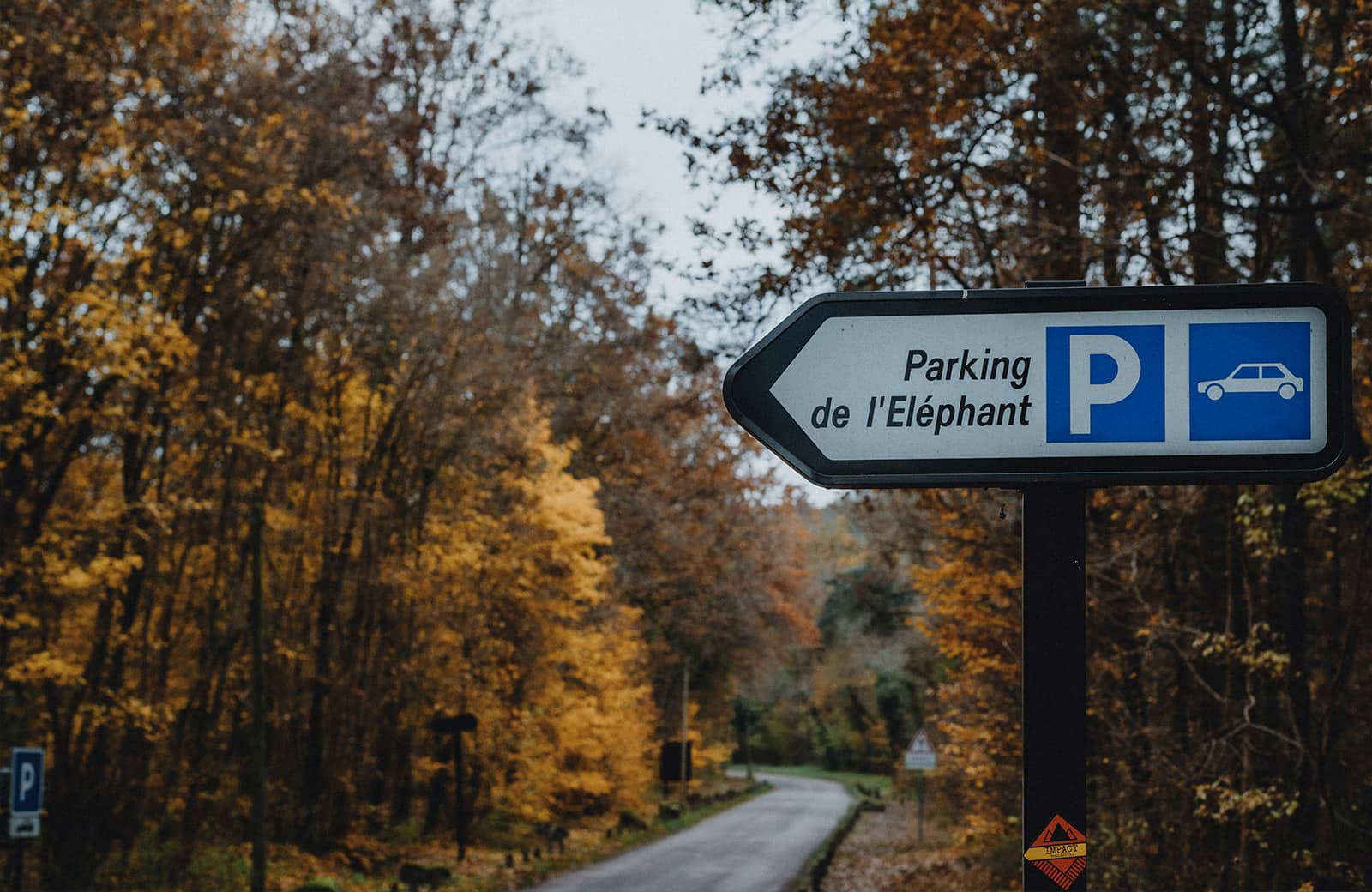 Climbing Fontainebleau- By Nathalie DuPre Commercial Photography