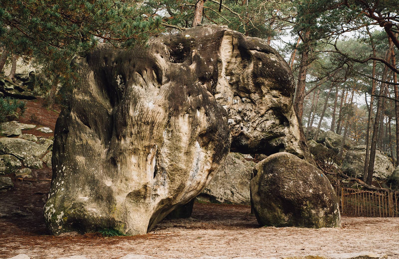 Fontainebleau Climbing- By Nathalie DuPre Commercial Photography