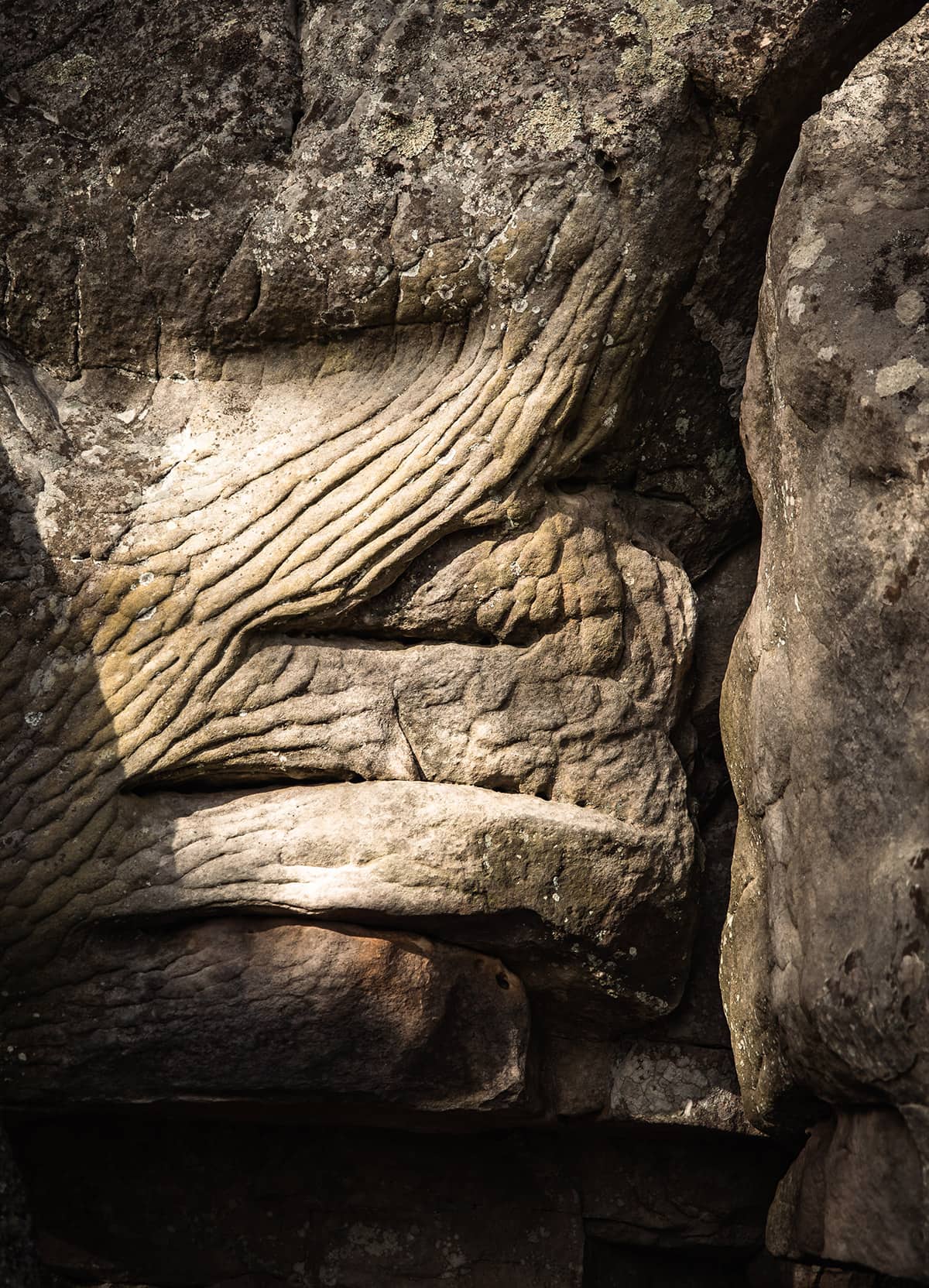 Climbing Fontainebleau- By Nathalie DuPre Commercial Photography